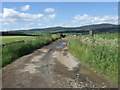 Road from Wardfold to Tarland