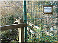 Bonnington Iron Bridge, Falls of Clyde