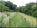 Fenced in footpath