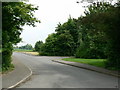 SU6658 : Bramley Green Road by Mr Ignavy