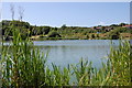 Wishing Tree reservoir, St Leonards