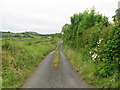 H6902 : Country road, Drumad, Co. Cavan by Kieran Campbell