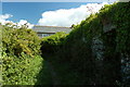 Little used secret footpath, Rinsey Hamlet