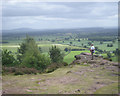 At Grinshill cliff edge