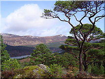 NH2424 : Glen Affric Caledonian Forest Reserve, Loch Beinn a' Mheadhoin by Rob Pedley