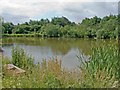 Lake in Radbrook Green Park