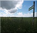 Footpath from Skelbrooke