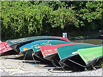 ST7862 : Canadian kayaks for hire by michael ely