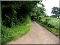 Winterage Lane on the edge of Acrise Wood