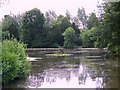 Lake, Dinton Park