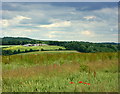 2008 : Lentney Farm