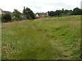 Path through the field