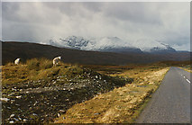 NH1379 : View towards An Teallach from the A832 by Nigel Brown