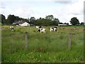 Ballynagashel Townland