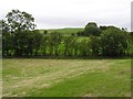 Drumbeg Townland