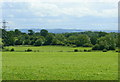 2008 : Farmland near Ganbrook