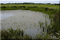 Pond near Stalmine