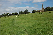 SP1139 : Saintbury Church and Cotswold hillside by Philip Halling
