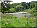 Otterson Pond