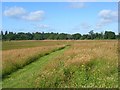 Grassland, Easthampstead