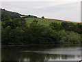 Northeast view at Otterson Loch