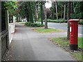 SZ1093 : Queen’s Park: postbox № BH8 248, Queen’s Park Avenue by Chris Downer