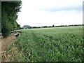 Footpath to Upton Scudamore