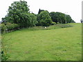 Looking S from field entrance near Shuttlesfield