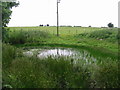 Small pond at the edge of the road to Shuttlesfield