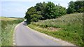 Copse near Whitcombe