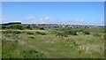 View Across Lodmoor to Southdown