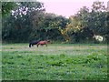 Grazing land near Sutton Row