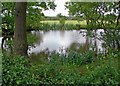 Small pond west of Kimcote in Leicestershire