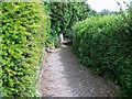 Path,  St John the Baptist Church, Burcombe