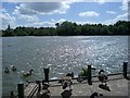 Frogmore Road lake, Westbury