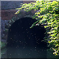 Braunston Tunnel, Grand Union Canal, Northamptonshire