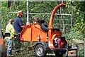 Tree Fellers Wanted ... at Middlewood