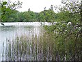 Loch of Clunie