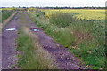 A track towards Haltemprice Farm