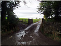 Track to Pasture House