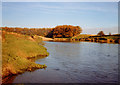 Monty Rig pool, River Annan