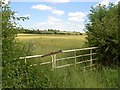 Nottinghamshire farmland