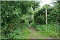 Start of bridleway on Rowhorne Road