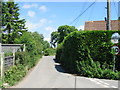 Lane towards Minnis Farm