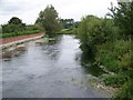 River Avon, Downton