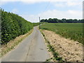 View along minor road to Colfir Farm