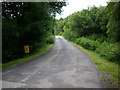 Road to Fearnoch Forest