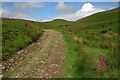 A farm track near Twiselhope