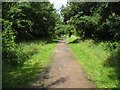 North Wingfield - Incline Footpath