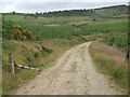 Track to Corennie Moor